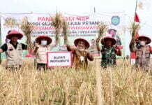 Ini Kriteria Petani Penerima Pupuk Subsidi, Catat agar tidak Gagal Paham!
