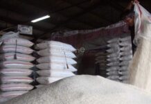 Dirut Perum Bulog, Budi Waseso: Dimainkan Mafia, Pedagang tak Bisa Langsung Beli Beras ke Bulog