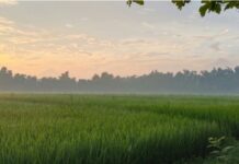 Keberkahan di Waktu Pagi, Janganlah Disia-siakan