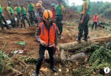 Apakah Menolong Anjing yang Kehausan Mendapat Pahala? Ini Jawabannya