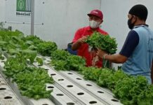 Program Integrated Farming: Sebuah Asa Para Warga Binaan Dari Balik Jeruji Penjara