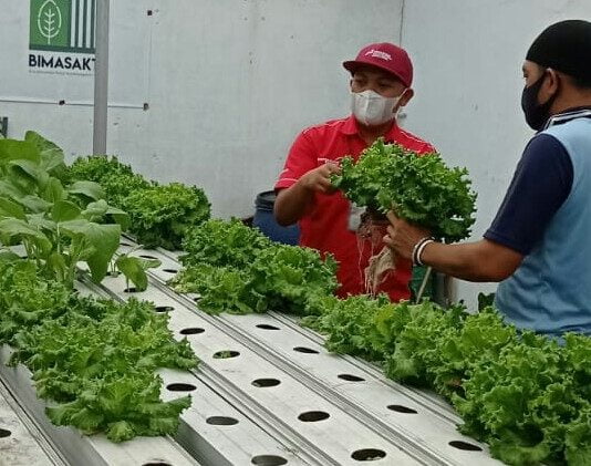 Program Integrated Farming: Sebuah Asa Para Warga Binaan Dari Balik Jeruji Penjara