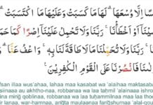 Saat Dada Menyesak karena Putus Asa Baca, Resapi, dan Amalkanlah Lima Ayat Al-Quran Ini