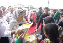 Ironi di Negeri Agraris, Harga Beras Indonesia Lebih Mahal daripada Pasar Global