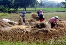 Kelaparan Bisa Sebabkan Kematian! Tapi Jangan Takut, Puasa Sesuai Sunnah malah Menyehatkan