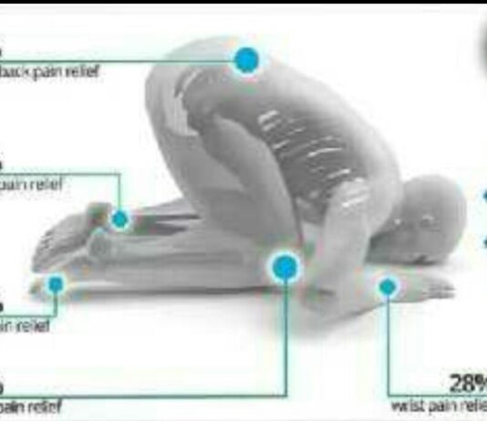 Sungguh Mencengangkan! Inilah Rahasia dan Fakta Sains saat Sujud dalam Gerakan Shalat