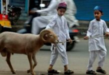 Dilarang Berqurban untuk Mayit, ini Penjelasan dan Dalil-dalilnya!