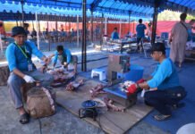 Diperbolehkan Memakan Daging Hewan Qurban, Panitia tak sama dengan Tukang Jagal