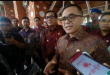 Info Penting! Catat Inilah Tenaga Honorer yang akan Diangkat Jadi PPPK Part Time
