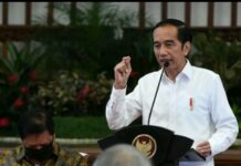 Gila! Hanya Jokowi yang Berani Utang dan Buktikan Penggunaannya dalam Pembangunan Nasional
