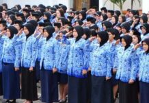 Hanya Lulus SMA dan SMK? Jangan Khawatir, Delapan Kementerian dan Badan ini Buka Lowongan untuk ASN