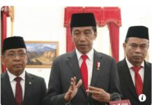 Presiden Joko Widodo Beri Gelar Kehormatan untuk 18 Tokoh, Salah Satunya WNA