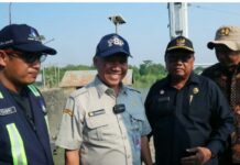 Dampak Kemarau Panjang-El Nino Sawah di Indramayu Kekeringan dan Terancam Gagal Panen