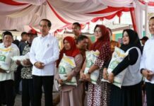 Atasi Lonjakan Harga, Presiden Joko Widodo Salurkan Beras kepada KPM selama Tiga Bulan