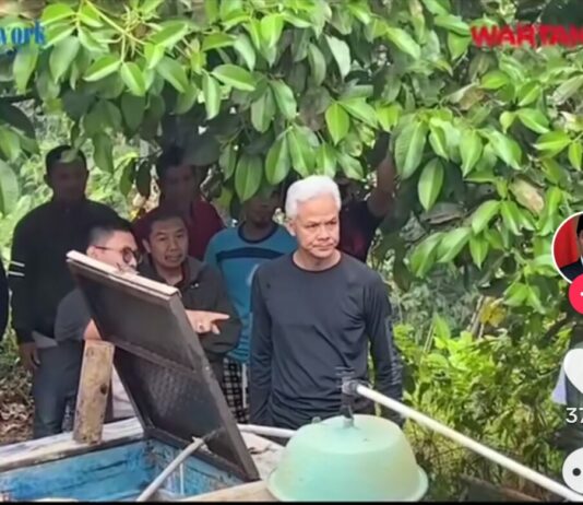 Capres dan Cawapres Ganjar-Mahfud Menyerukan Penghentian Deforestasi alias Pembabatan Hutan di Indonesia