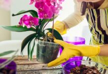 Moms di Rumah Selalu Merasa Jenuh dan Membosankan? Berikut Tips Mengatasinya
