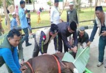 Musyrik dan Dosa Besar, Jangan Lakukan Penyembelihan Hewan Seperti ini