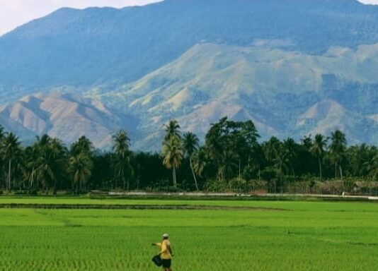 Islam Mensyariatkan untuk Menjaga Kebersihan, Keselamatan, dan Lingkungan Umum