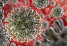 Virus HKU5 jadi Ancaman Pandemi Baru, Lebih Berbahaya daripada Covid-19