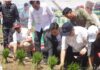 Perkuat Peran Lumbung Pangan Nasional, Indramayu Jadi Pilot Project Nasional Program PM-AAS