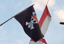 Pakar Hukum Tata Negara, Gugun El Guyanie: Bendera One Piece Tak Memecah Belah Bangsa